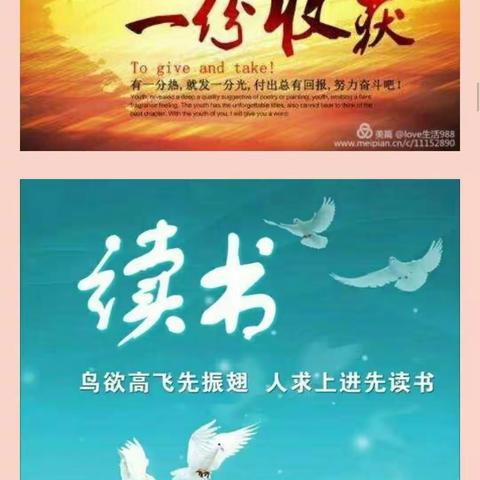 发书记___淅川一小送书活动随笔