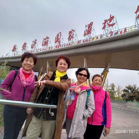 湿地公园的秋色