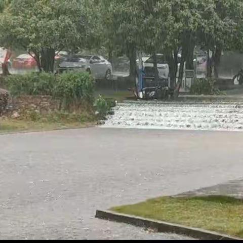 这一场雨