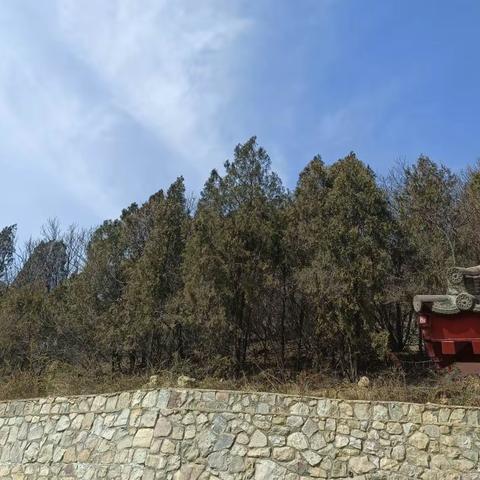 念起，是一份温暖