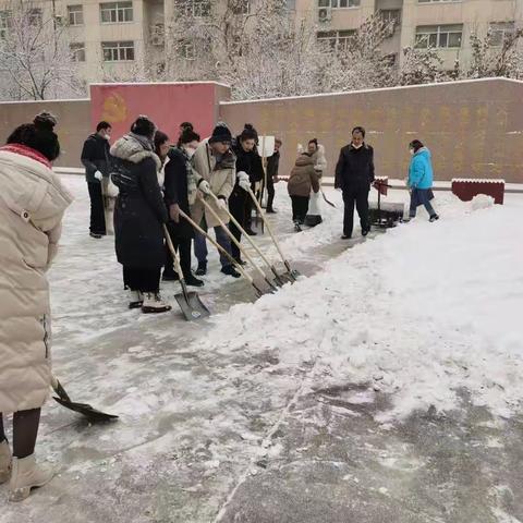 叶城公路管理局机关党支部以“雪”为令，开展清雪活动