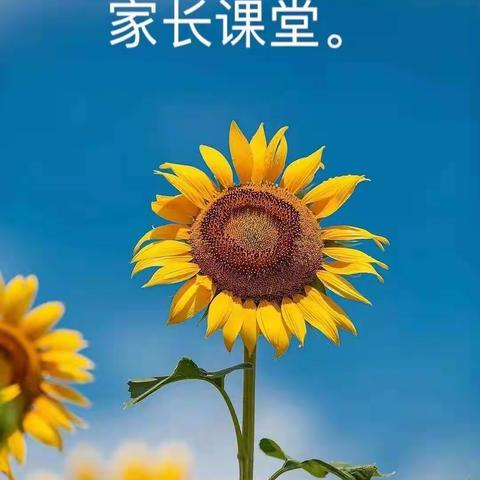 有趣的手工DIY–三（13）班家长进课堂第七期