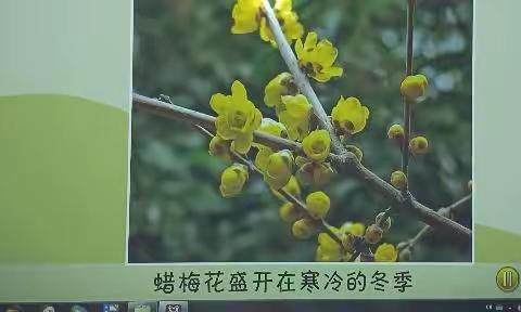 高安镇中心幼儿园——停课不停学线上教学（三十九）