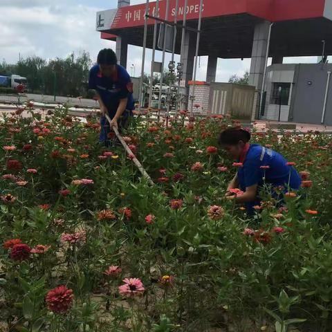 迅速行动 逐站落实 提量增效——东平片区贯彻落实7.22会议精神