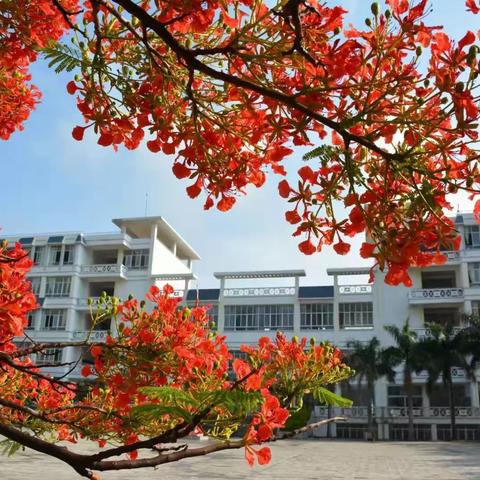 开始招生啦 | 红河县第一中学 2021年体育自主招生