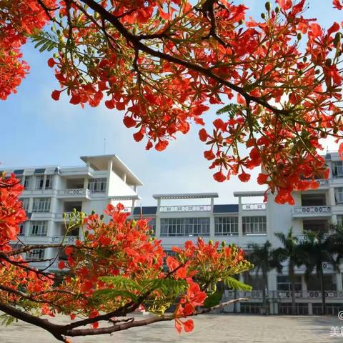 红河县第一中学2024届高一新生开学告知书