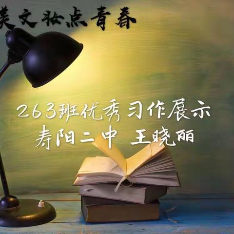 用美文妆点青春——二中263班佳作展示  王晓丽