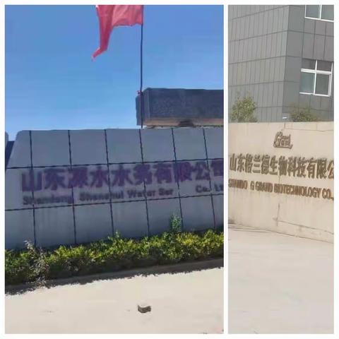曹县积极开展“除根”专项行动