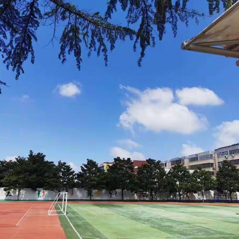 参加线上直播培训，助力班主任成长——山亭区实验小学班主任培训学习活动纪实