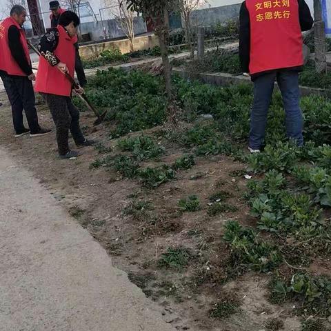 大刘镇文明实践系列活动（一）