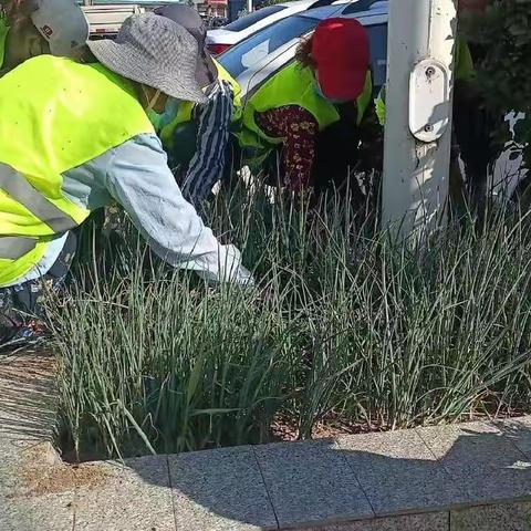 大刘镇～～烈日下的人居环境整治提升行动