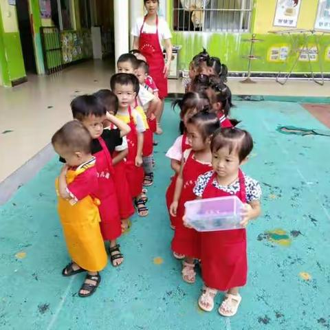 百花幼儿园小二班种植豆角美篇