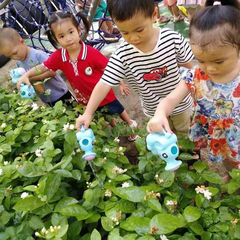 百花幼儿园乐趣多