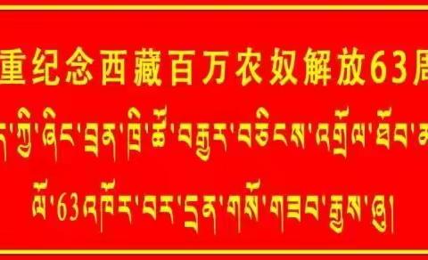 谢通门县仁钦则乡驻勤村双语幼儿园纪念开展了以“童心齐欢唱党在我心中”为主题的庆祝“3·28”西藏百万农奴解放