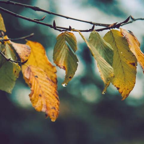 48班第8周班级工作总结