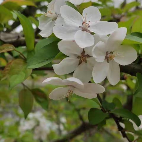 璜石湖体育公园