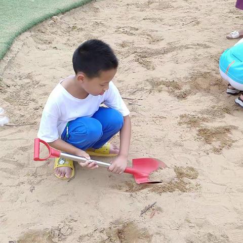 王浩博的暑假生活