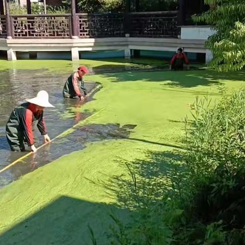 泗泾颐景园河道整治