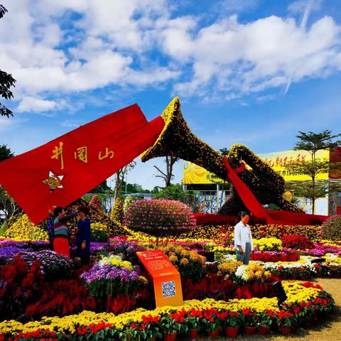 小榄菊花&新会陈皮