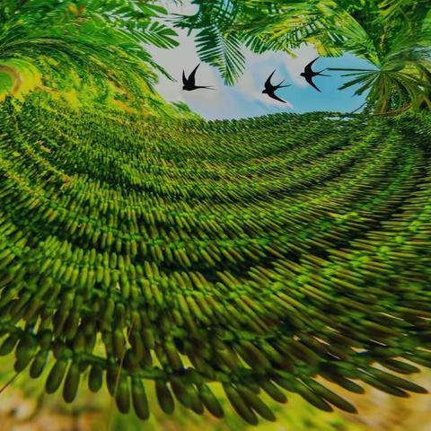 华南国家植物园“落羽杉”&“绿植”