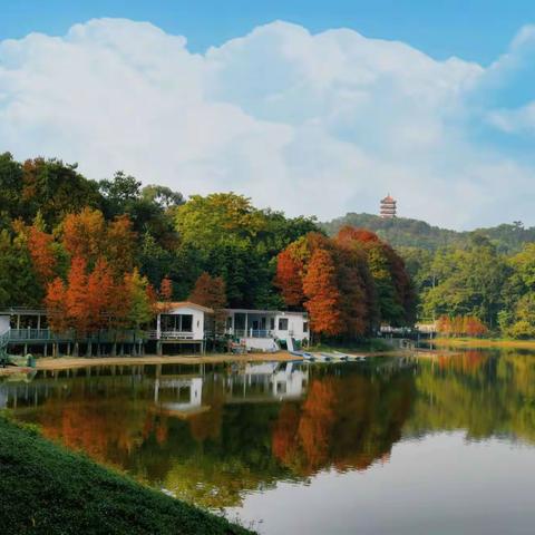 羊城名胜风景“麓湖”游览区