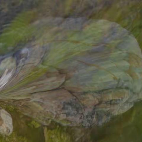 马宫影城&盐州岛彩石滩