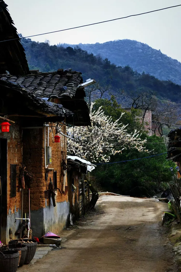 清远阳山杨梅镇 水浪花谷 冯屋村