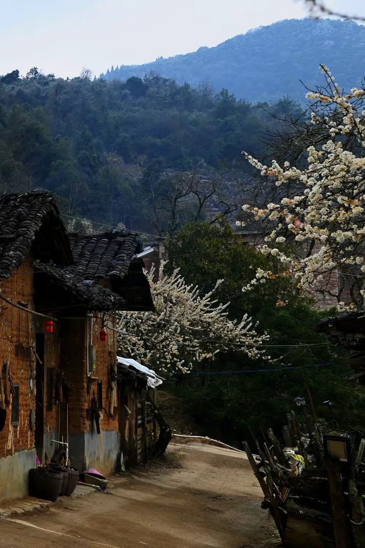 清远阳山杨梅镇 水浪花谷 冯屋村