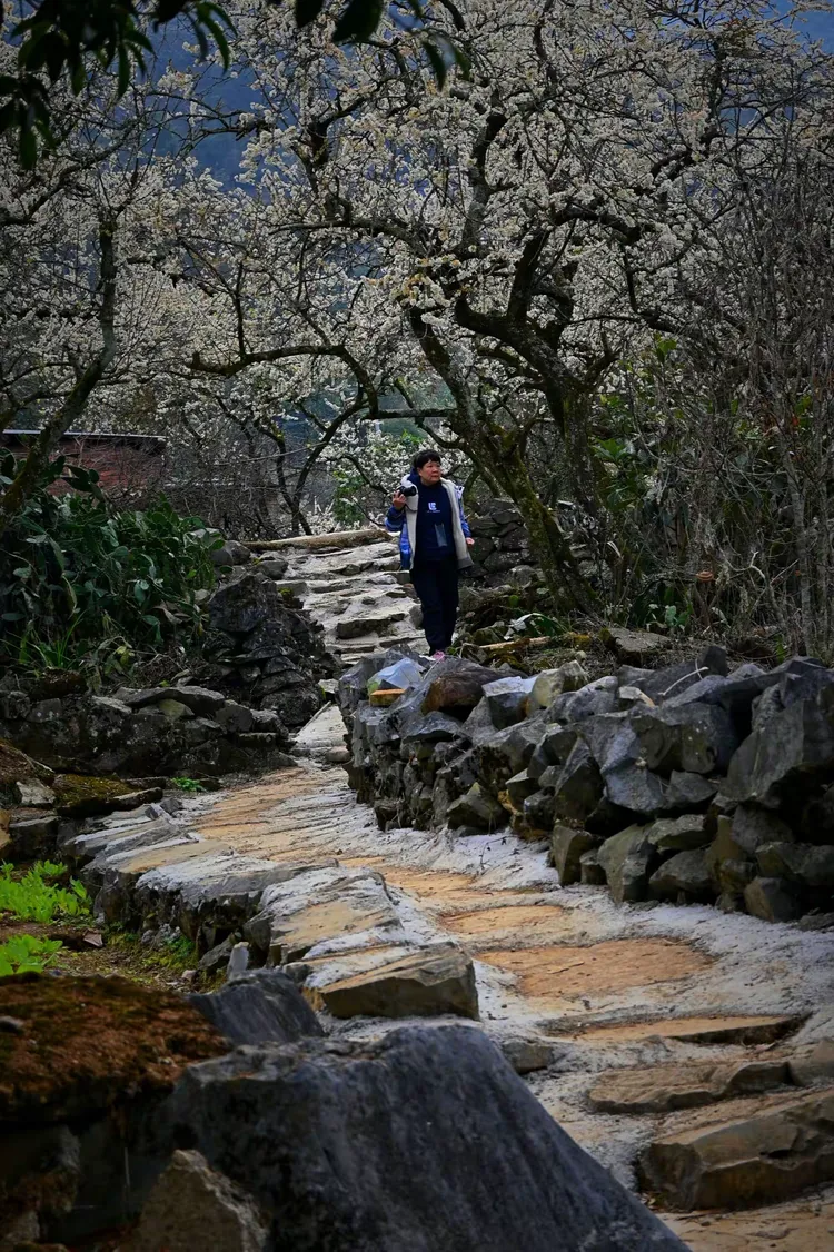 清远阳山杨梅镇 水浪花谷 冯屋村