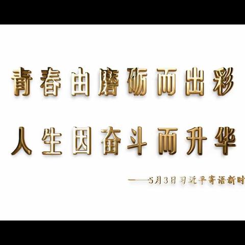 陈官镇中心初中“正青春、当奋斗”励志报告会