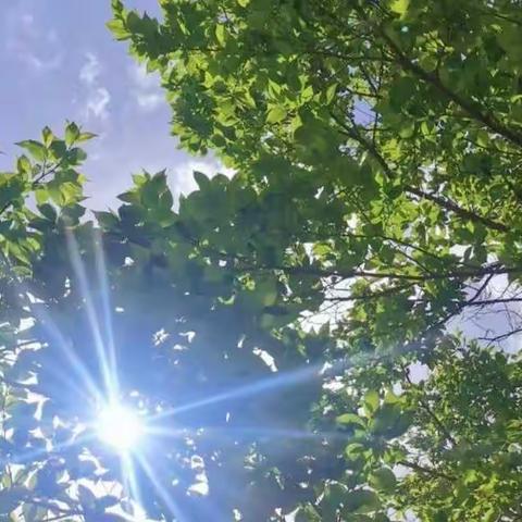 美好的四月，快乐加倍——小五班