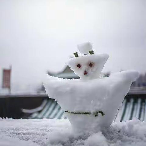 与自然的零距离接触—拥抱初雪