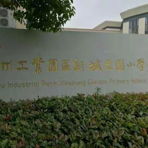 聚焦核心素养，促进深度学习—培训日志（四）