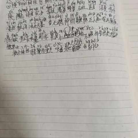 杨昊鑫语文作业