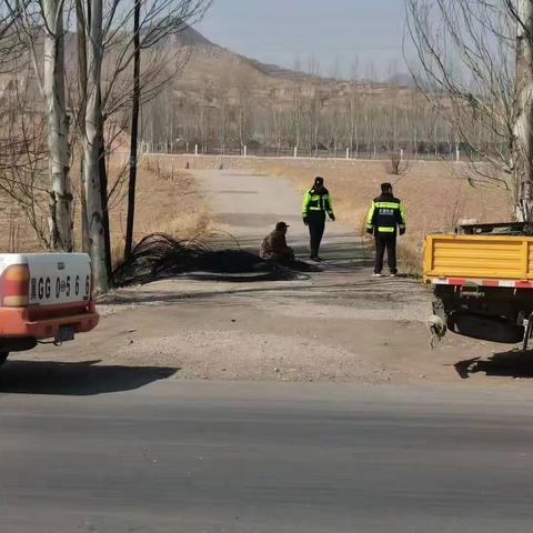 施工单位擅自架线施工三中队执法人员立即叫停