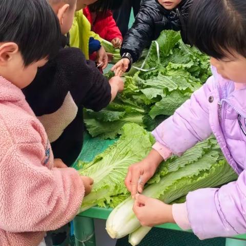 兴义市清水河经济开发区中心幼儿园社会实践“萌娃当家，蔬菜售卖”活动