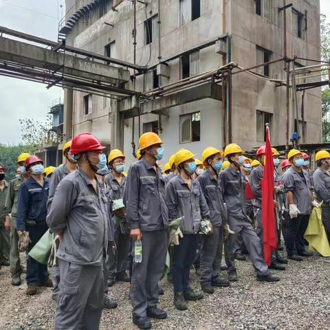 开展义务劳动，彰显党员风采