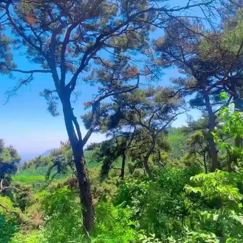 药山森林公园-锦绣谷:环线徒步5公里