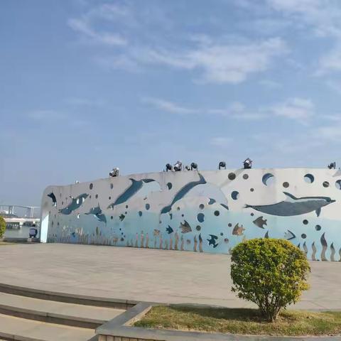 厦门之梦想二星教师培训随笔（三）