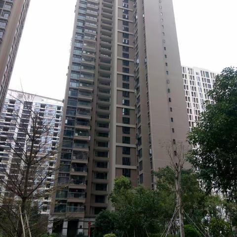 2018年3月游赏了深圳、香港、澳门，美不胜收的境界，给游人留下了难忘的一幕幕……