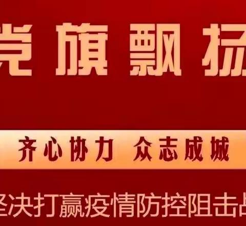 党旗飘扬 齐心战疫