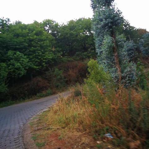 秉持初心，担负重托；牢记使命，承载梦想。———宜良县教体局“挂包帮、转走访”“党员连心户”活动。