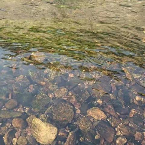 流淌在岁月里的母亲河