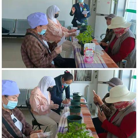 🌺🌺兴泾镇营业所“五一劳动节”种绿植活动🌺🌺