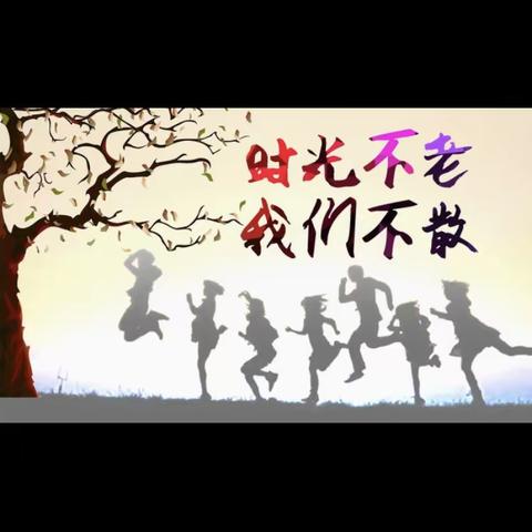 孙敬娥的美篇
