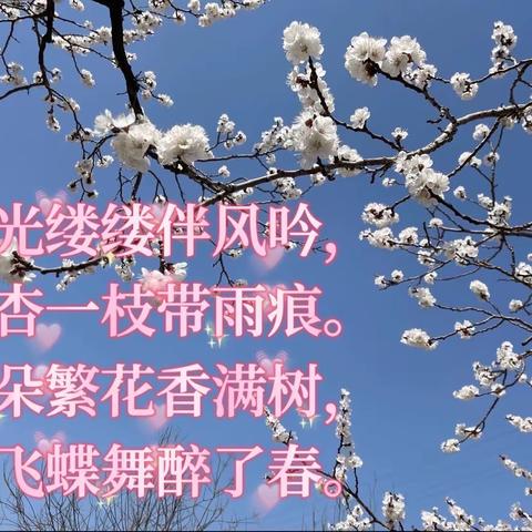 平湖晓月的美篇