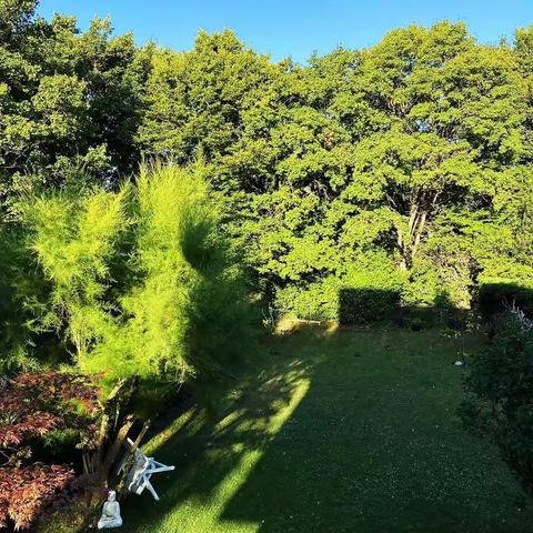 王亚栋·日内瓦组诗（及摄影）之三