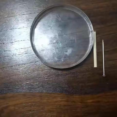 铁棒与木棒的沉浮实验