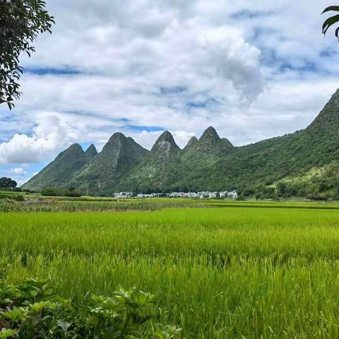 五、兴义市•万峰林