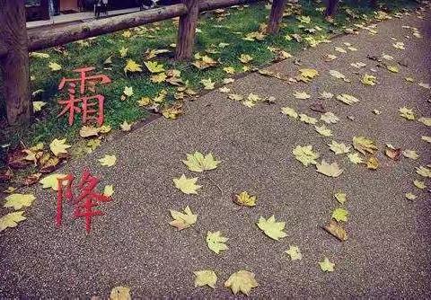 霜降节气如何饮食